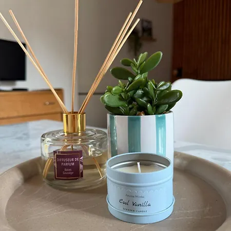 Appartement Chaleureux Au Centre De *